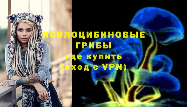 Альфа ПВП Алексин